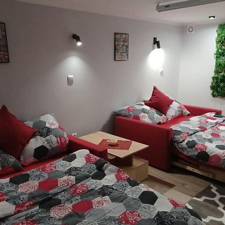 Bachowice Studio Familly-Nocleg-Zator- Wadowice-Oswiecim-Krakow מראה חיצוני תמונה